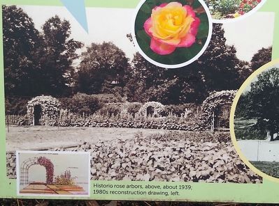 Lower middle images image. Click for full size.