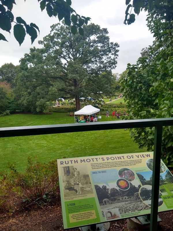 Ruth Mott's Point of View Marker image. Click for full size.
