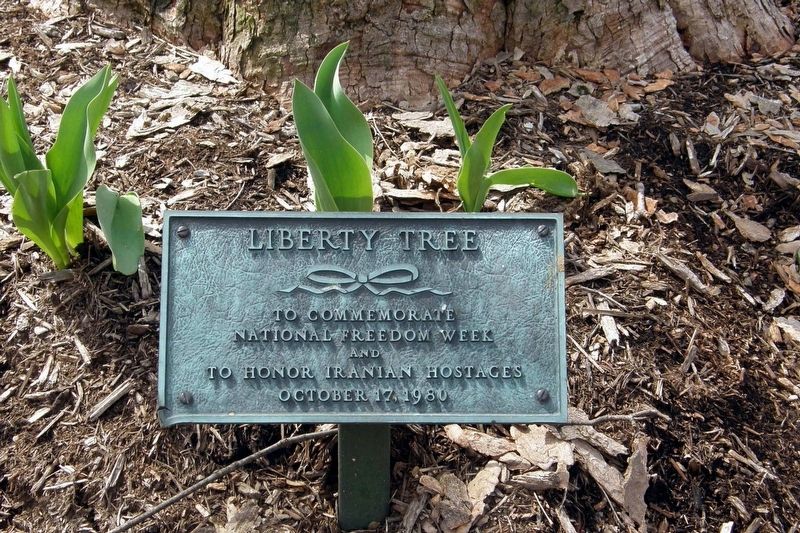 Liberty Tree Marker. Click for full size. Liberty Tree Marker image. Click for full size.