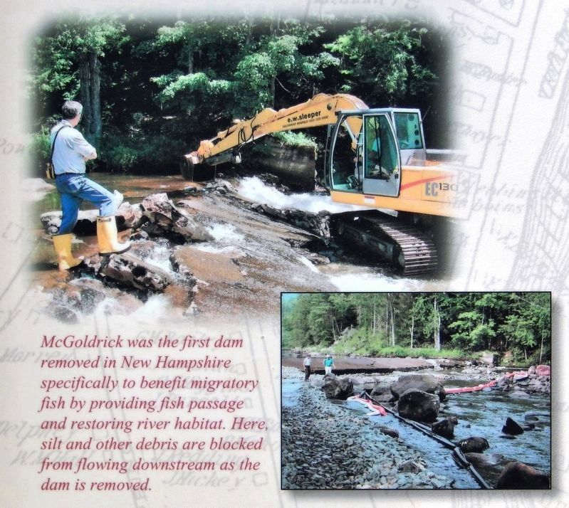 Marker detail: McGoldrick Dam Removal image. Click for full size.