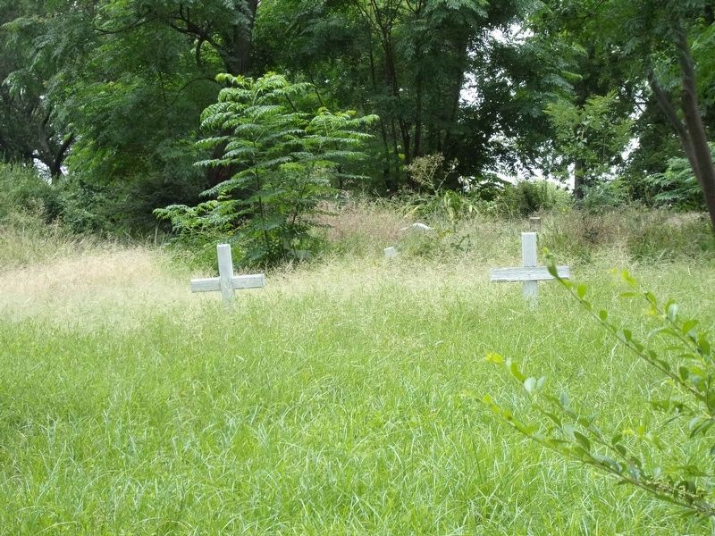 Trinity Farms/Rancho Grande Cemetery. Click for full size. Trinity Farms/Rancho Grande Cemetery image. Click for full size.