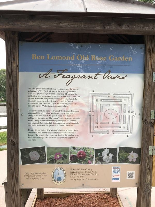Ben Lomond Old Rose Garden side of the marker. Click for full size. Ben Lomond Old Rose Garden side of the marker image. Click for full size.