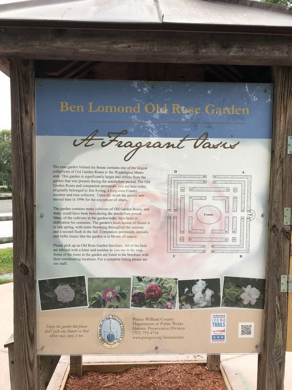 Ben Lomond Old Rose Garden side of the marker image. Click for full size.