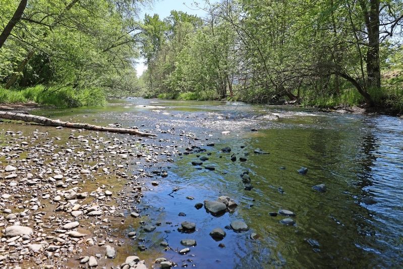 Bear Creek. Click for full size. Bear Creek image. Click for full size.