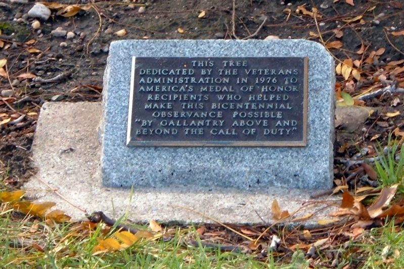 Medal of Honor Memorial Tree plaque. Click for full size. Medal of Honor Memorial Tree plaque image. Click for full size.