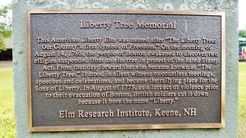 Liberty Tree Memorial Marker image. Click for full size.