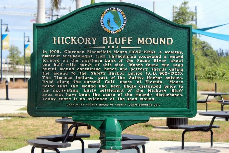 Hickory Bluff Mound Marker. Click for full size. Hickory Bluff Mound Marker image. Click for full size.