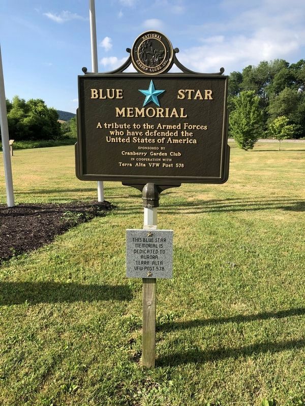 Blue Star Memorial sign near to the display image. Click for full size.
