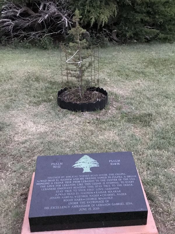 U.S. Geographic Center Cedar Tree Marker image. Click for full size.