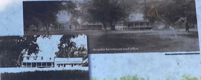 Photo Insert (right): Arcadia farmhouse and office image. Click for full size.