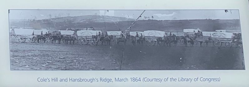 Cole's Hill and Hansbrough's Ridge. Click for full size. Cole's Hill and Hansbrough's Ridge image. Click for full size.
