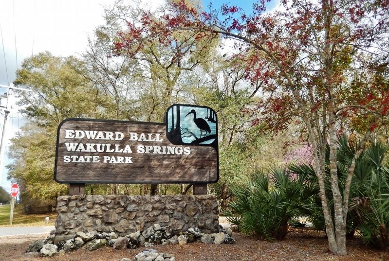 Edward Ball Wakulla Springs State Park image. Click for full size.