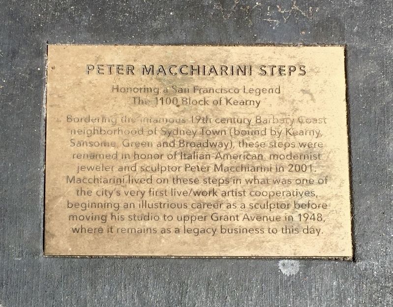 Peter Macchiarini Steps Marker image. Click for full size.