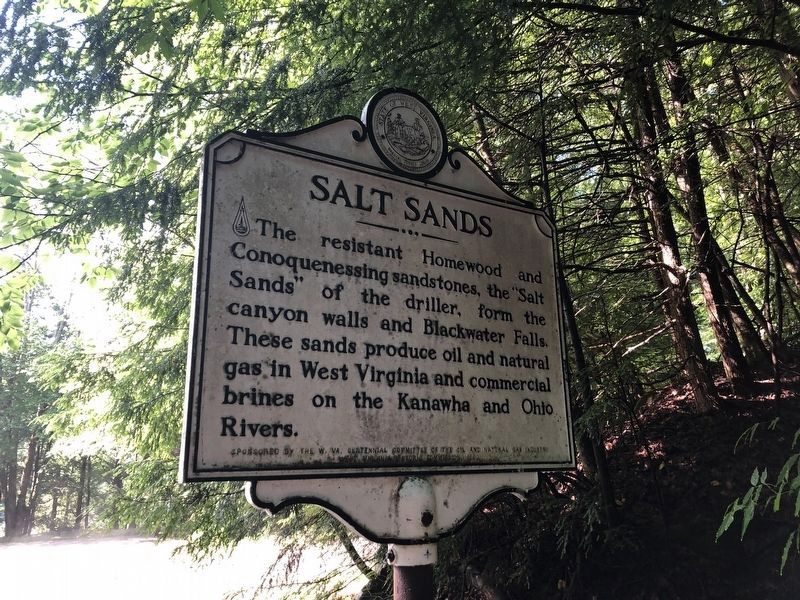 Salt Sands Marker image. Click for full size.