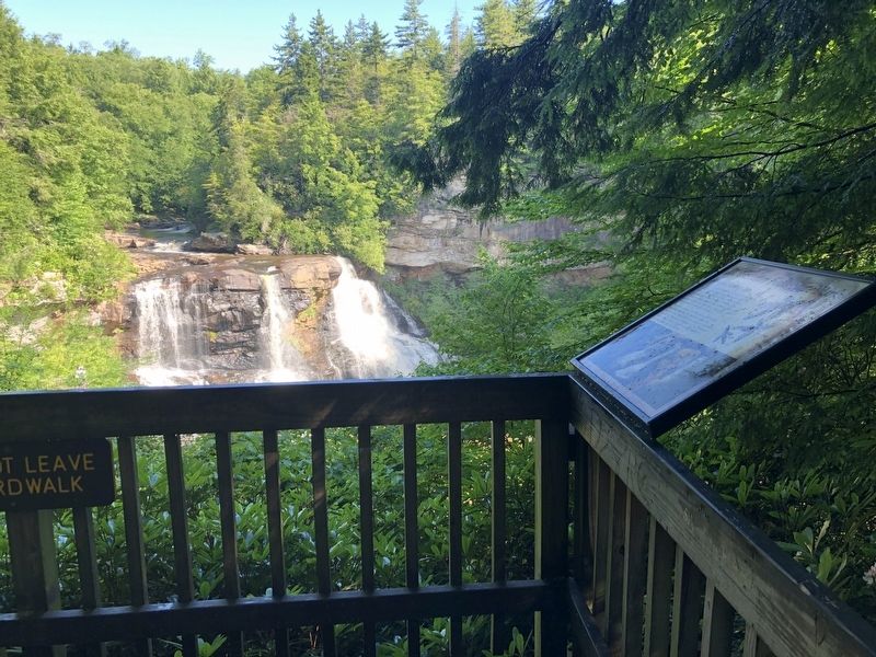 Blackwater Falls as seen from the River of Amber sign image. Click for full size.