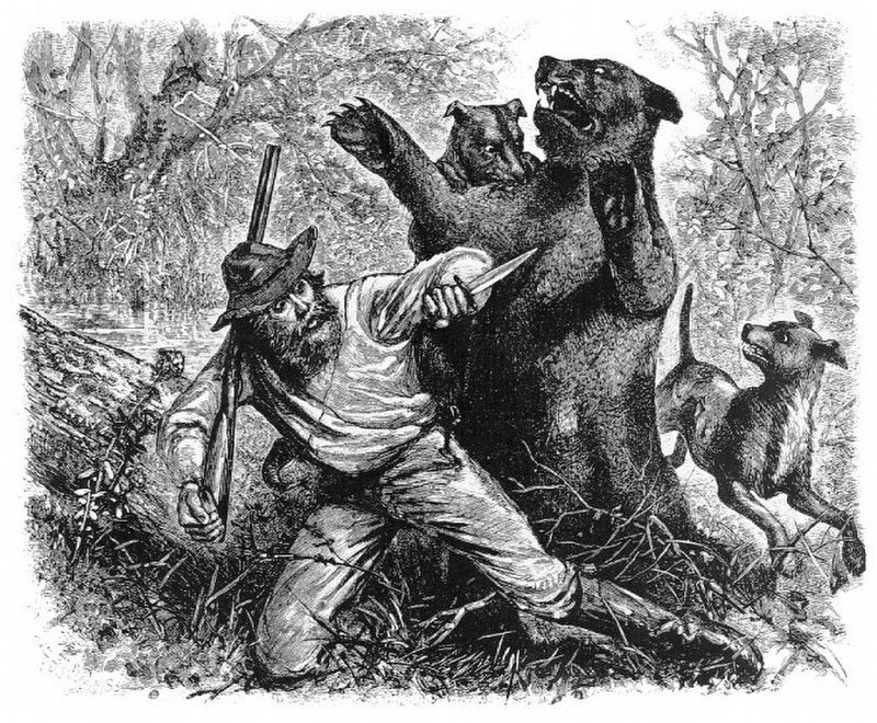 Illustration of Hugh Glass and his legendary bear attack. image. Click for full size.