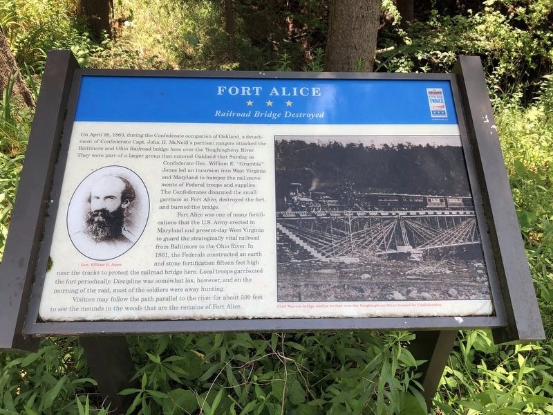 Fort Alice Marker image. Click for full size.