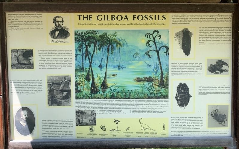 The Gilboa Fossils Marker image. Click for full size.