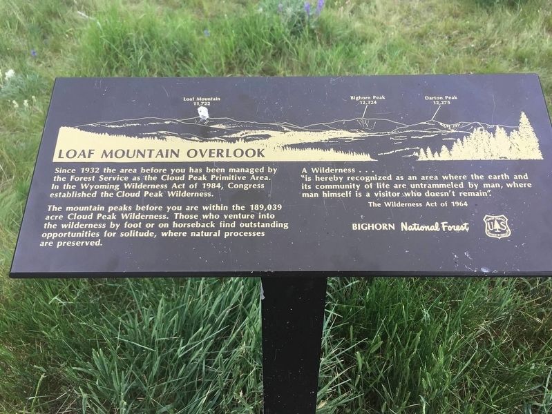 Loaf Mountain Overlook Marker image. Click for full size.