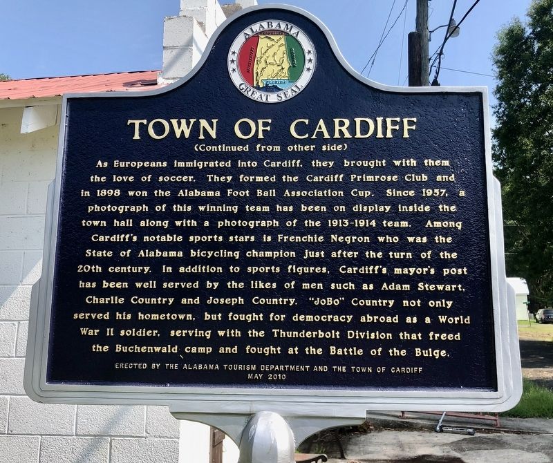 Town of Cardiff Marker (side 2) image. Click for full size.