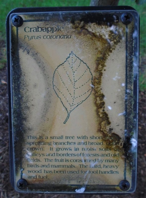 Crabapple Marker image. Click for full size.