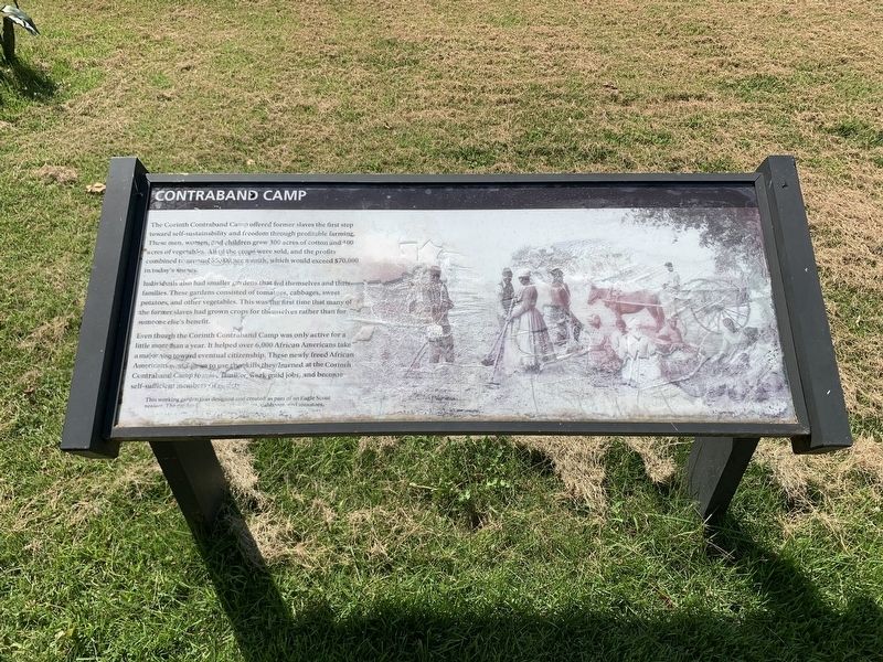 Contraband Camp Marker. Click for full size. Contraband Camp Marker image. Click for full size.