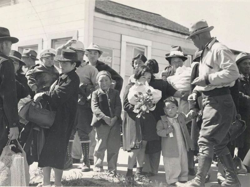<i>"Families of Japanese ancestry arrived at Turlock assembly center... </i> image. Click for full size.