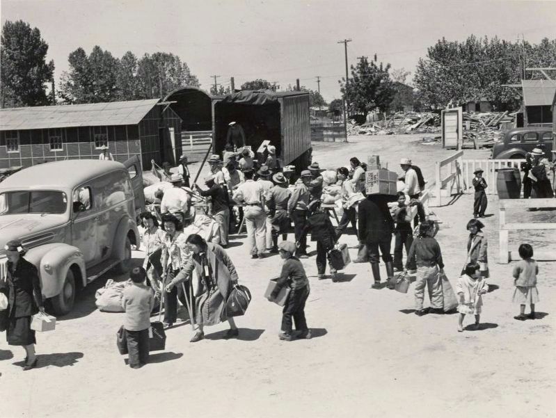 <i> Families of Japanese ancestry arriving at the Turlock Assembly Center.</i> image. Click for full size.