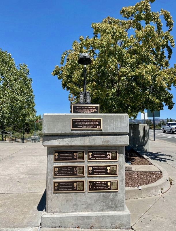 Napa County Iraq and Afghanistan War Memorial image. Click for full size.