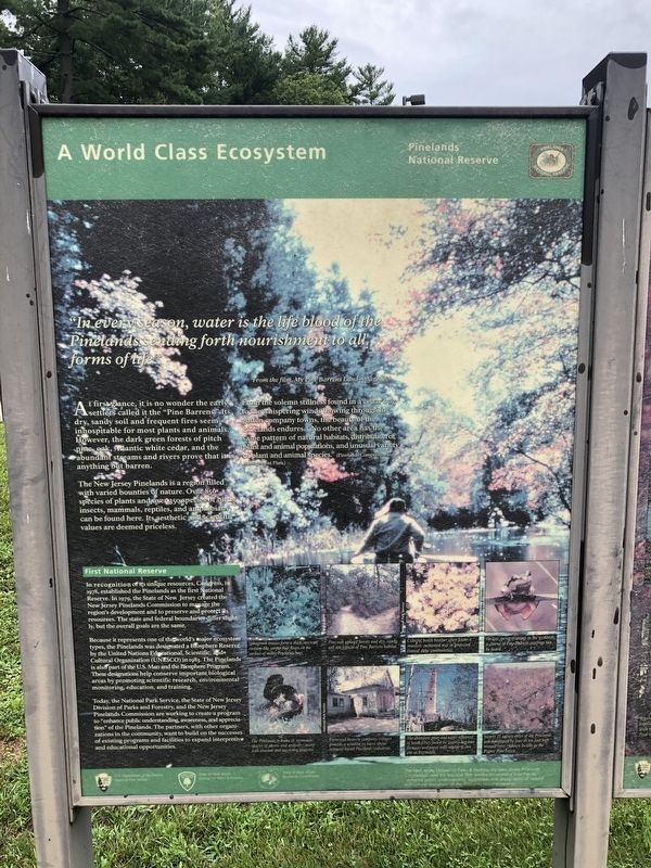 A World Class Ecosystem Marker image. Click for full size.