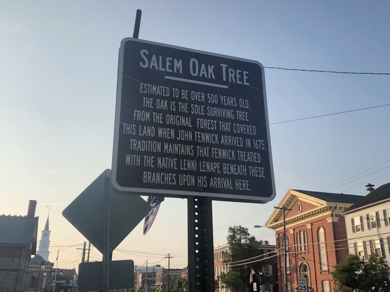 Salem Oak Tree Marker image. Click for full size.