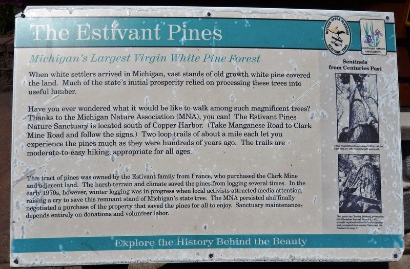 The Estivant Pines Marker image. Click for full size.