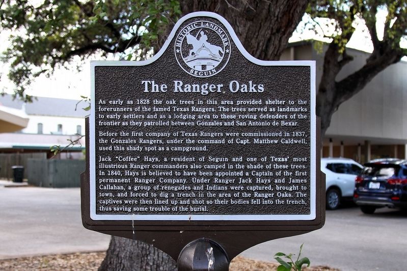 The Ranger Oaks Marker image. Click for full size.