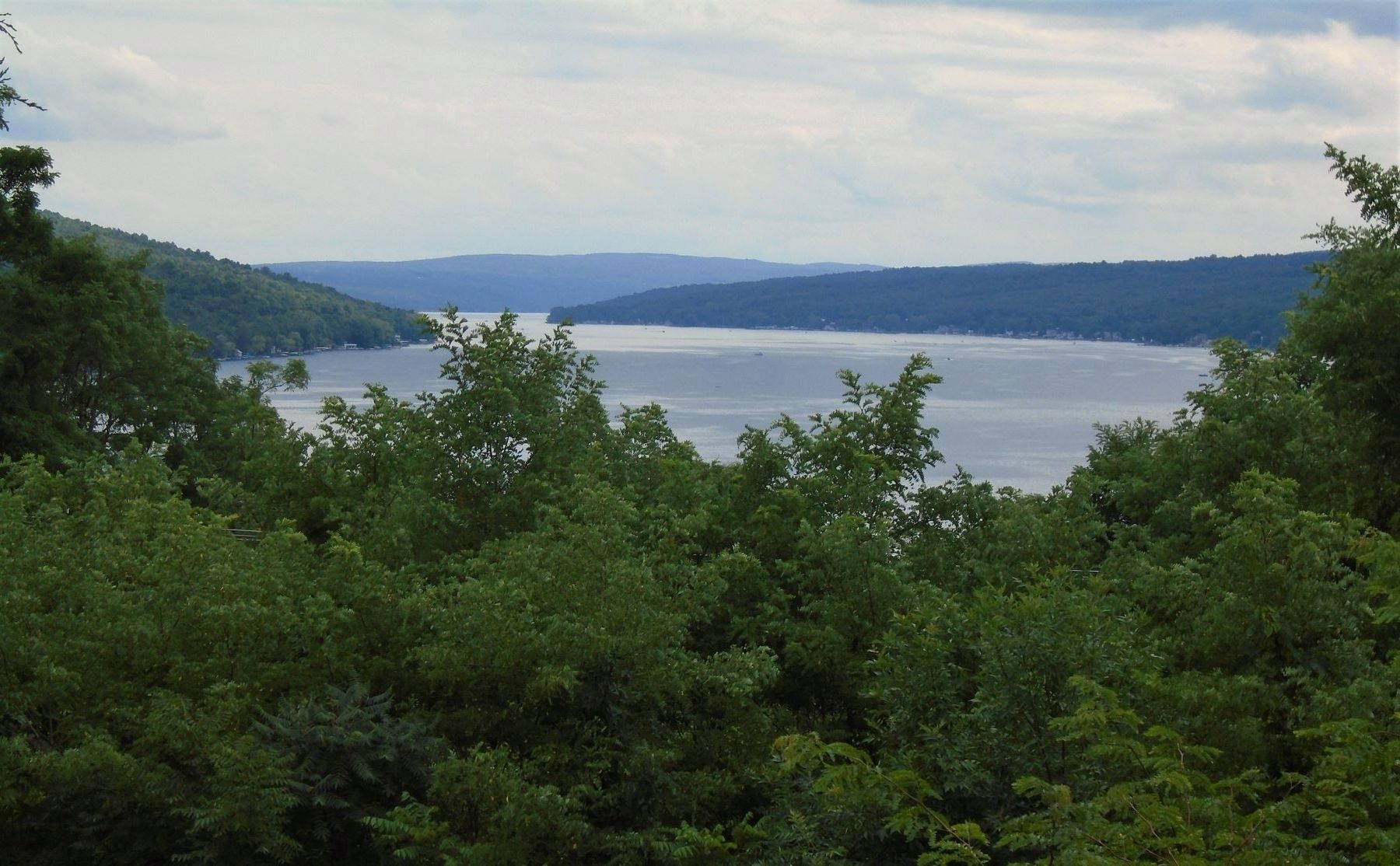 West Branch of Keuka Lake image. Click for full size.