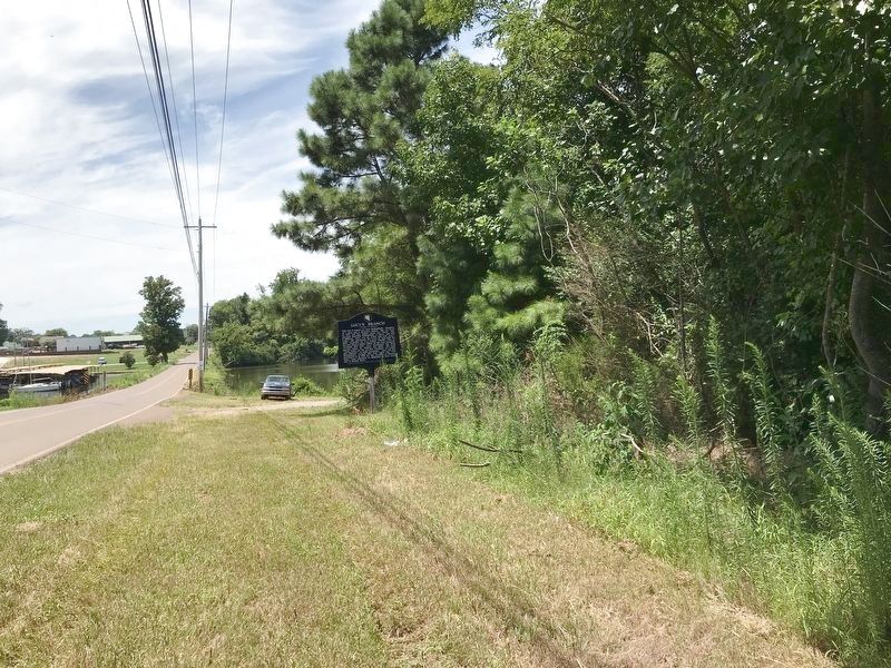 Lucy's Branch marker is along the tree line.. Click for full size. Lucy's Branch marker is along the tree line. image. Click for full size.