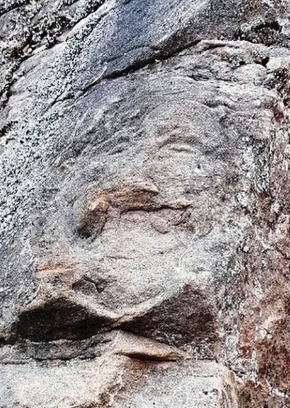 Face in the Rock today image. Click for full size.