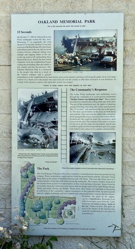 Oakland Memorial Park Marker. Click for full size. Oakland Memorial Park Marker image. Click for full size.