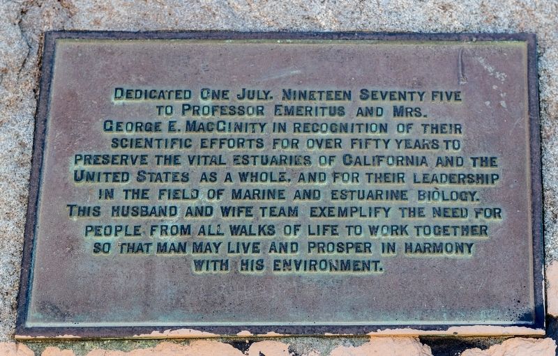MacGinity Memorial Detail. Click for full size. MacGinity Memorial Detail image. Click for full size.