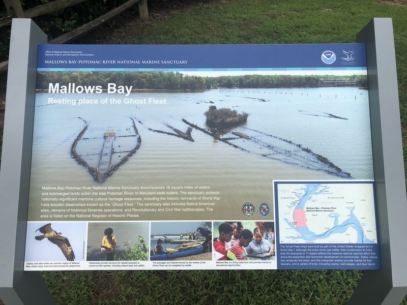 Mallows Bay Marker image. Click for full size.