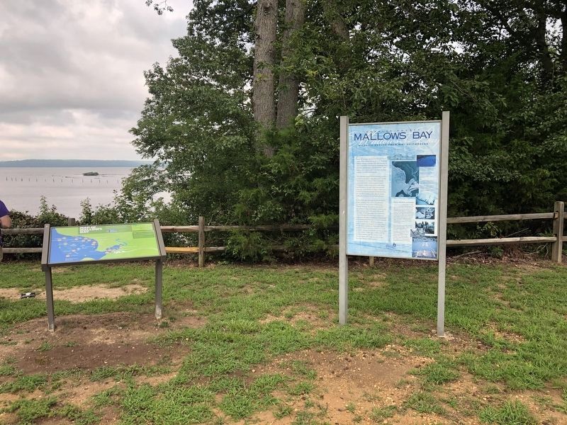 Mallows Bay marker with the Map of Mallows Bay sign image. Click for full size.
