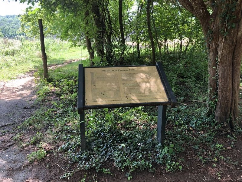 The National Colonial Farm Marker image. Click for full size.
