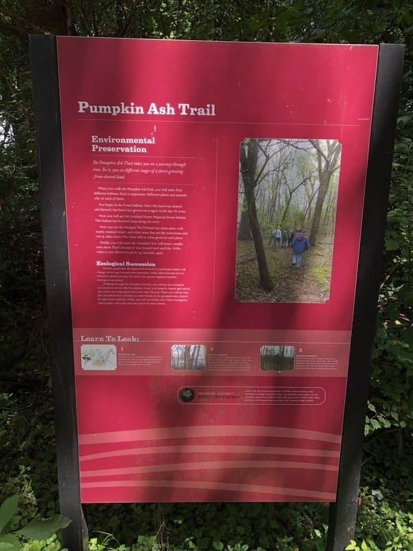 Pumpkin Ash Trail Marker image. Click for full size.