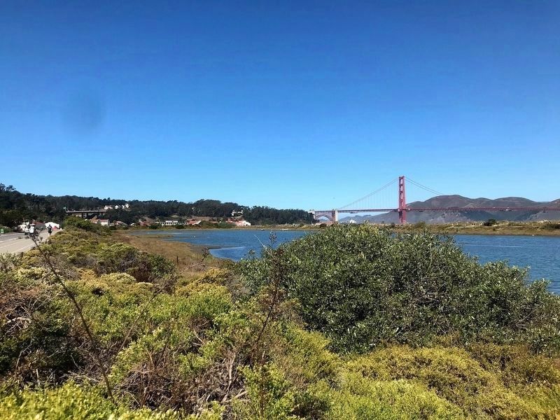 Crissy Field Marsh image. Click for full size.