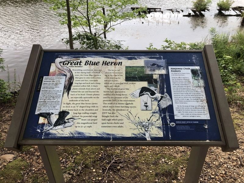 Great Blue Heron sign nearby image. Click for full size.