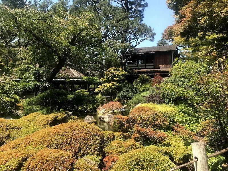 Japanese Tea Garden image. Click for full size.