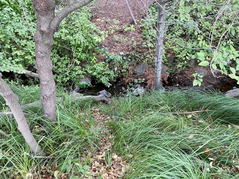 Cerrito Creek (taken at marker site) image. Click for full size.