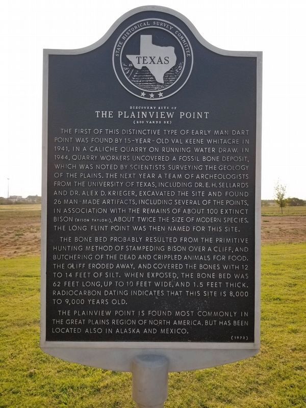 Discovery Site of the Plainview Point Marker image. Click for full size.