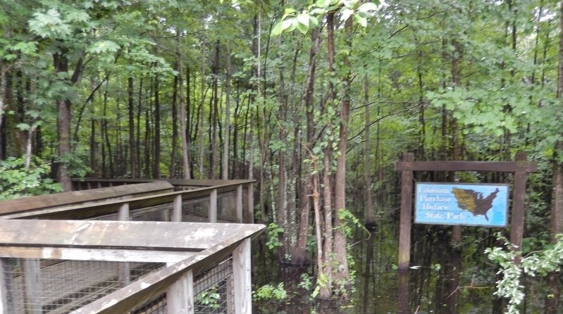 Louisiana Purchase State Park Boardwalk Entrance image. Click for full size.