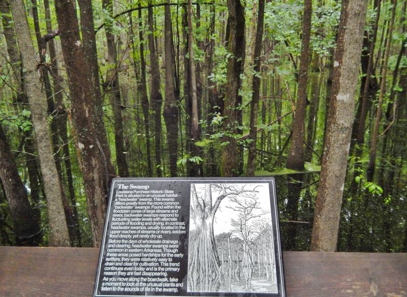 The Swamp Marker image. Click for full size.