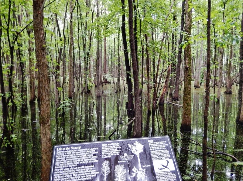 Life in the Swamp Marker image. Click for full size.